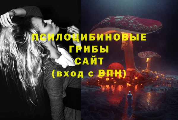 spice Белоозёрский