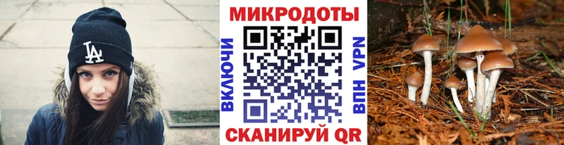 Псилоцибиновые грибы Cubensis  где купить наркоту  OMG онион  Кушва 